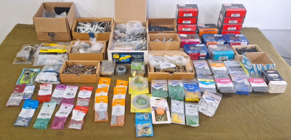Collection Of Assorted Fasteners & Household Hardware