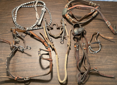 Equi-Sense Jones Leather & More