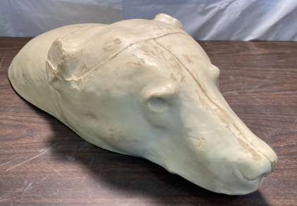Taxidermy Bear Head Form