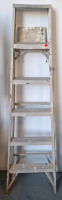 Ladder & Dolly - 2