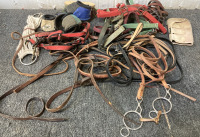 Various Horse/Riding Supplies. BB51