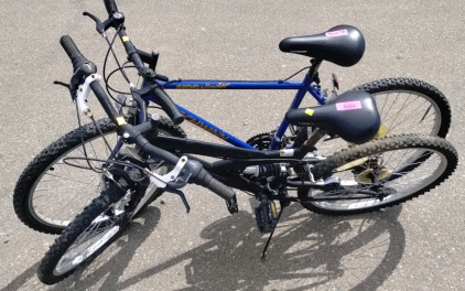 Set Of 2 Bikes Including Next And Schwinn Mountain Bike