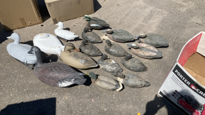 (16) Goose & Duck Decoys