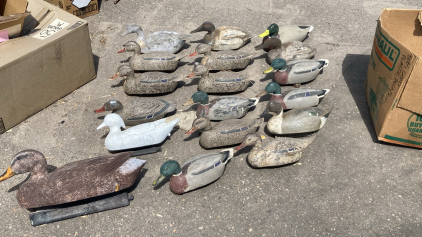 (18) Goose & Duck Decoys