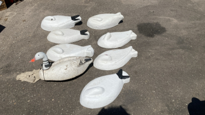 (8) Decoys