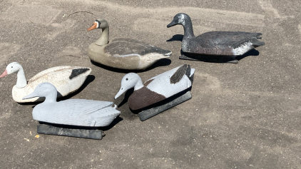 (5) Goose Decoys