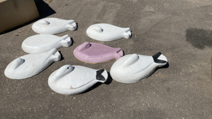 (7) Decoys