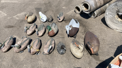 (15) Goose & Duck Decoys