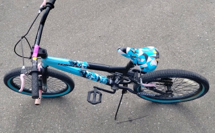 Tempest Freestyle Bike