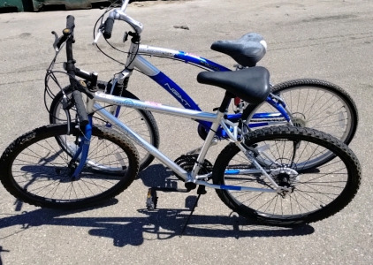 Set Of 2 Mountain Bikes Including A Dyna Craft Northern Ridge And A Next Mountain Bike