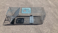 Animal Trap