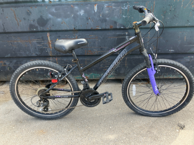 Schwinn 21speed Mountain Bike