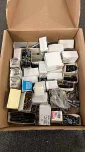 Assortment Of Screws And Hardware