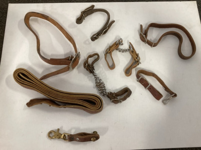 Leather Chin Straps, Various Sized Collars, Clips