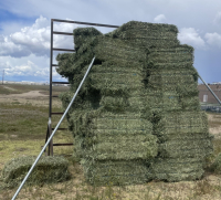 MVTC (67) Bales Grass Hay- Located South of Boise