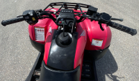 2007 HONDA RECON 250 ES - RUNS GREAT! - 9