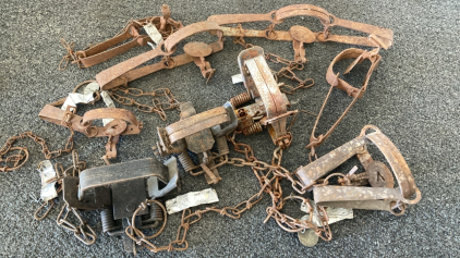 Collection of Vintage Animal Traps
