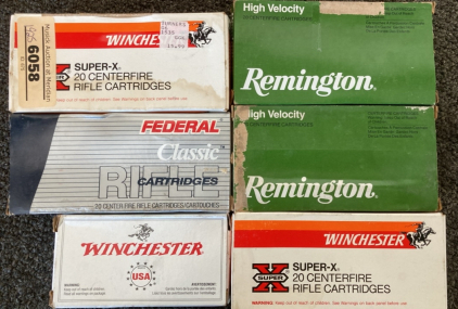 Assortment of Ammunition