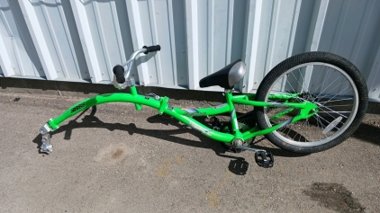 20" Co-Piolet WeeRide (Green)