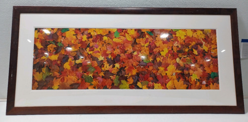 (1) 62"×28.5" Fall Leaves Picture