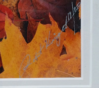 (1) 62"×28.5" Fall Leaves Picture - 2