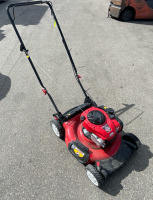 Troy-Bilt Push Mower-Clean - 2