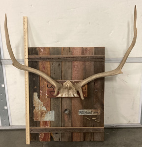 No Hunting Mancave Decor