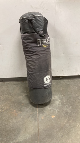 Everlast Punching Bag