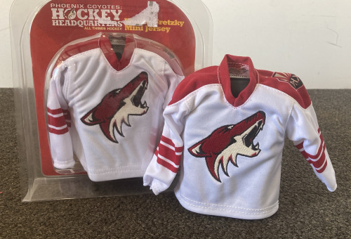 Phoenix Coyotes Hockey Mini Jerseies