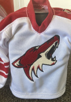 Phoenix Coyotes Hockey Mini Jerseies - 2