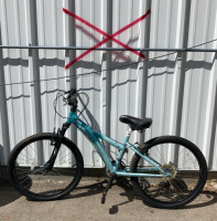 24â€ Diamondback Tess Bicycle (Light Blue)