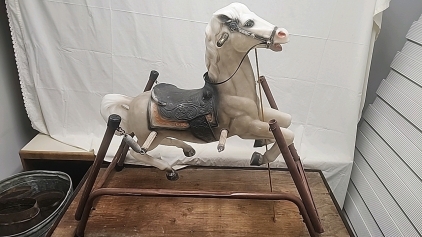 Youth Rider Wonderhorse