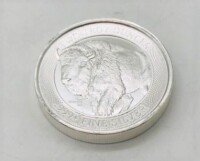 Two Troy Ounces .999 Fine Silver