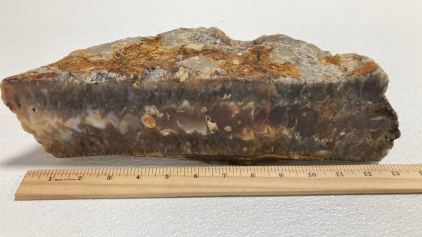 Large Graveyard Point Plume Agate