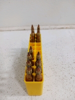 83 Rounds Springfield 30-06, Hollowpoint, Soft-tip and More - 2