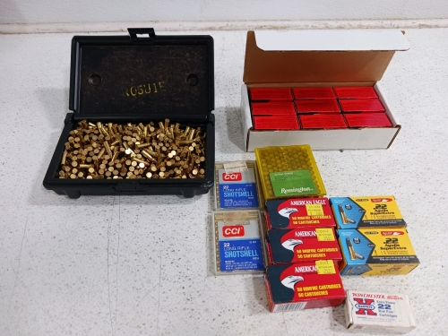 .22LR Ammo and More