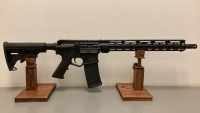 Wise Arms AR-15 (wa-15B) .223/5.56 Wilde w/ Case & Mag-wa-b11517