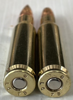 (132) Rounds 7.62X51 Ammo & (193) Rounds 7.62X51 Brass - 3