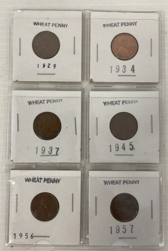 (6)Old Wheat Back Pennies