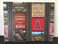 Luggage Rack (New In Box), L.A Angels Fan Art, Collapsible Closet Organizer - 4