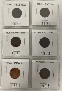 (6) Indian Head Pennies