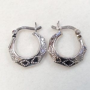 Silver Earrings