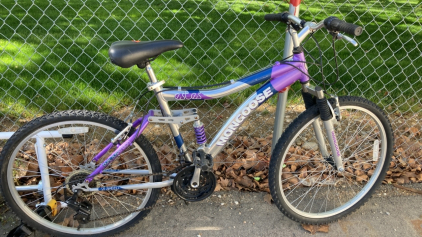 26&rdquo; Mongoose Estes Bicycle (Silver/Purple)
