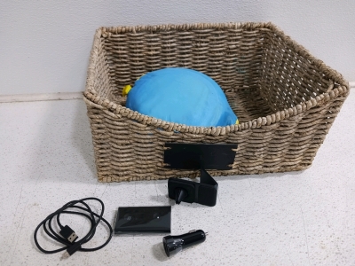 Amazon Alexa Echo Auto and More