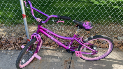 20” Kent 2 Cool Bicycle (Purple)