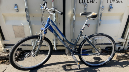 26&rdquo; Giant Sedona DX Bicycle (Blue/Gray)