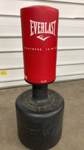 Everlast Weighed Punching Bag