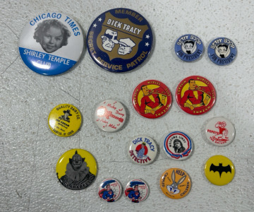 (16) Variety Of Pins