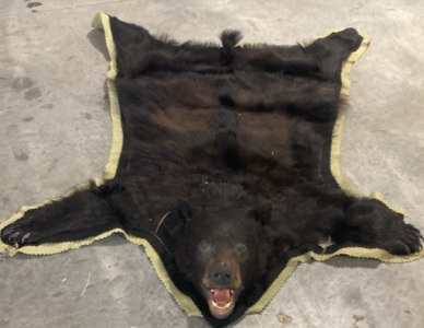 Black Bear Rug