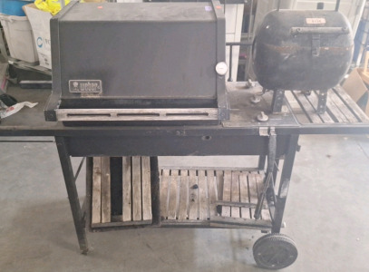 Propane & Mini Grill....BBFN